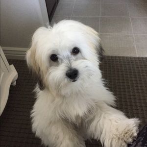 Meet your Posher, Melanie